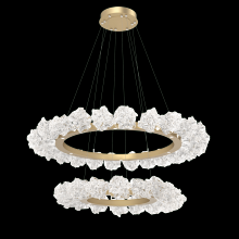 Hammerton CHB0059-2B-GB-BC-CA1-L1 - Blossom Two-Tier Ring