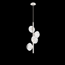 Hammerton CHB0089-T4-BS-C-001-L1 - Mesa Twisted Vine - 4pc
