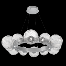 Hammerton CHB0092-39-CS-C-CA1-L1 - Gaia Radial Ring Chandelier