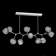 Hammerton PLB0095-BC-CS-ZS-001-L1 - Luna Modern Branch - 10pc