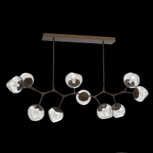 Hammerton PLB0095-BC-FB-GC-001-L1 - Luna Modern Branch - 10pc