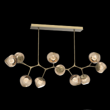 Hammerton PLB0095-BC-GB-FB-001-L1 - Luna Modern Branch - 10pc