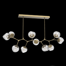 Hammerton PLB0095-BC-GB-GC-001-L1 - Luna Modern Branch - 10pc