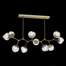 Hammerton PLB0095-BC-GB-ZC-001-L1 - Luna Modern Branch - 10pc
