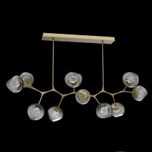 Hammerton PLB0095-BC-GB-ZS-001-L1 - Luna Modern Branch - 10pc