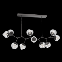 Hammerton PLB0095-BC-GP-GC-001-L1 - Luna Modern Branch - 10pc
