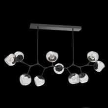 Hammerton PLB0095-BC-MB-FC-001-L1 - Luna Modern Branch - 10pc