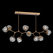 Hammerton PLB0095-BC-NB-FS-001-L1 - Luna Modern Branch - 10pc
