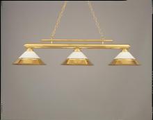 Hi-Lite MFG Co. H-613/89-D-01 GRN - BILLIARD LIGHT