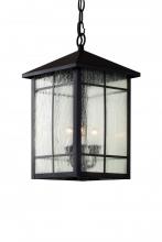 Trans Globe 40344 ROB - 3LT HANGING LANTERN-SQUARE PAN