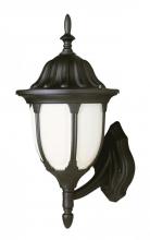 Trans Globe 4041 BG - Hamilton 1-Light Opal Glass Traditional Outdoor Wall Lantern