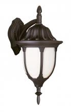 Trans Globe 4048 BG - Hamilton 13" Wall Lantern