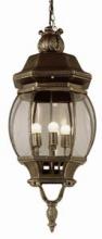 Trans Globe 4067 BG - Parsons 4-Light Traditional French-inspired Outdoor Hanging Lantern Pendant with Chain