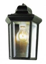 Trans Globe 4483 BC - Rendell 12-In. 1-Light, Beveled Glass Outdoor Pocket Wall Lantern