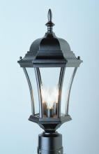 Trans Globe 4504 BG - Burlington 1-Light Metal and Glass Post Mount Lantern Head