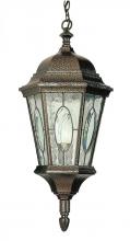 Trans Globe 4717 BK - Villa Nueva 1-Light Spanish Inspired Ornate Outdoor Hanging Pendant