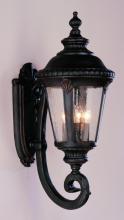 Trans Globe 5042 BG - Commons 29" Wall Lantern