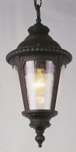 Trans Globe 5049 BK - Commons 17" Hanging Lantern