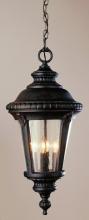 Trans Globe 5049 SWI - Commons 17" Hanging Lantern