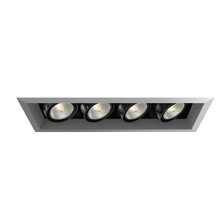 Eurofase TE164A-0N - MULT,PAR20,TRM,4LT,50W,PT/BLK