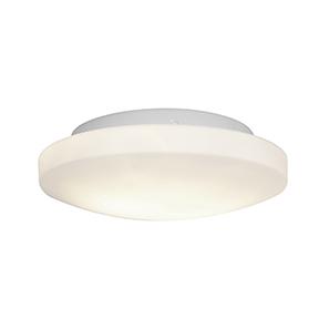 OPL Glass Flushmount�